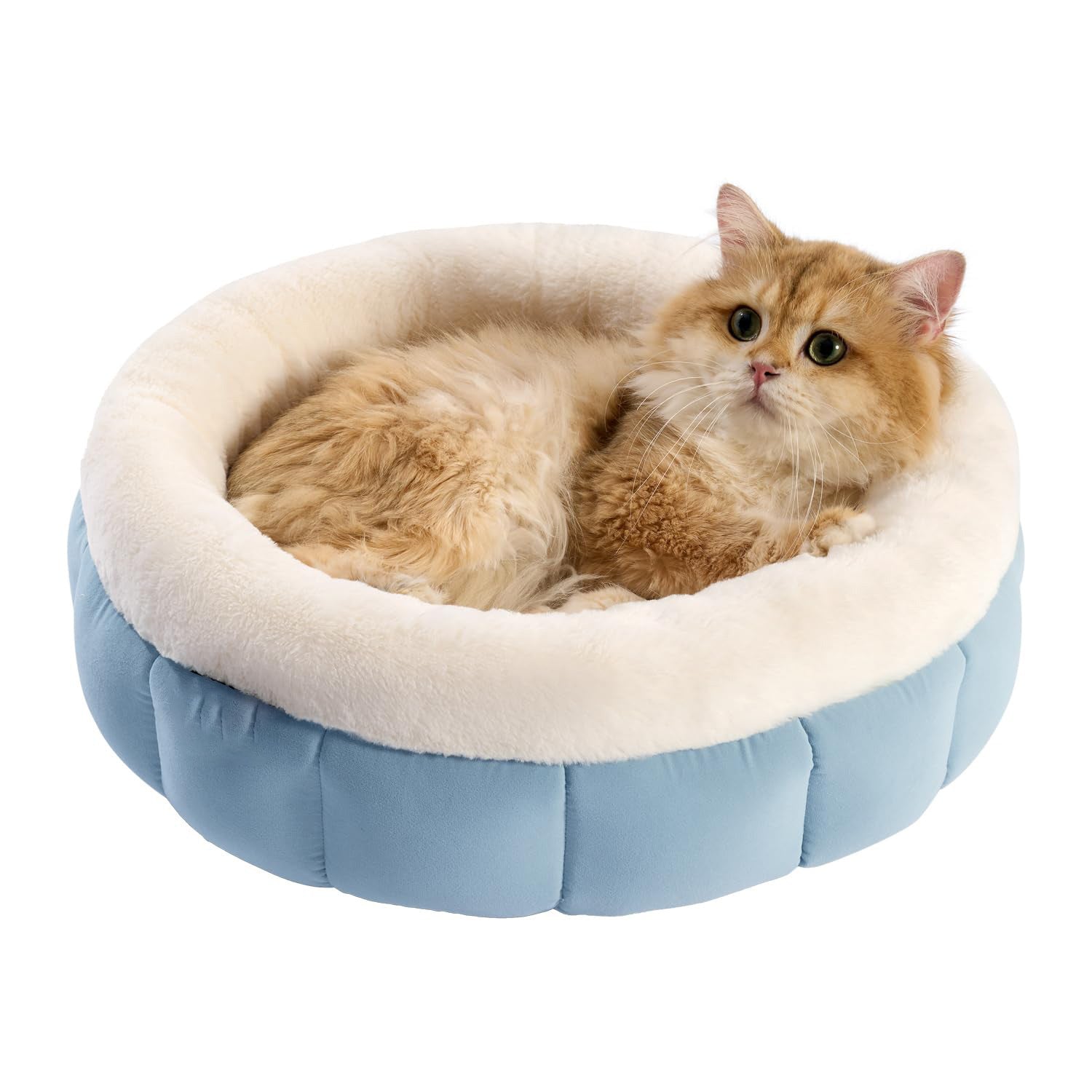 Plush Donut Pet Bed