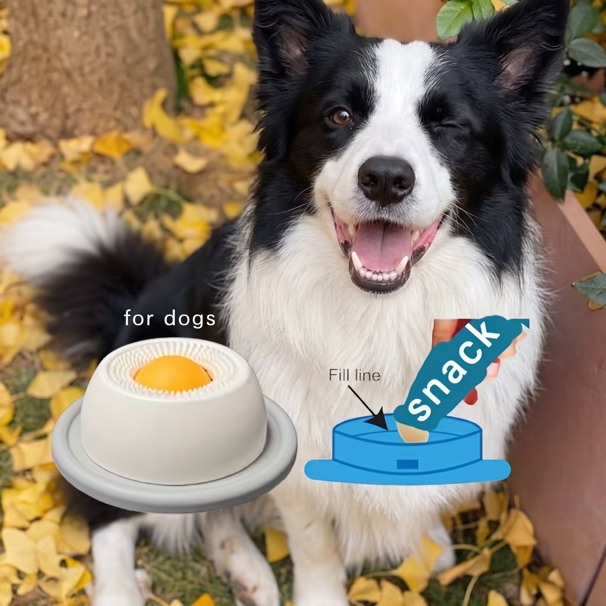 Pawfer™ Interactive Dog Treat Puzzle Toy