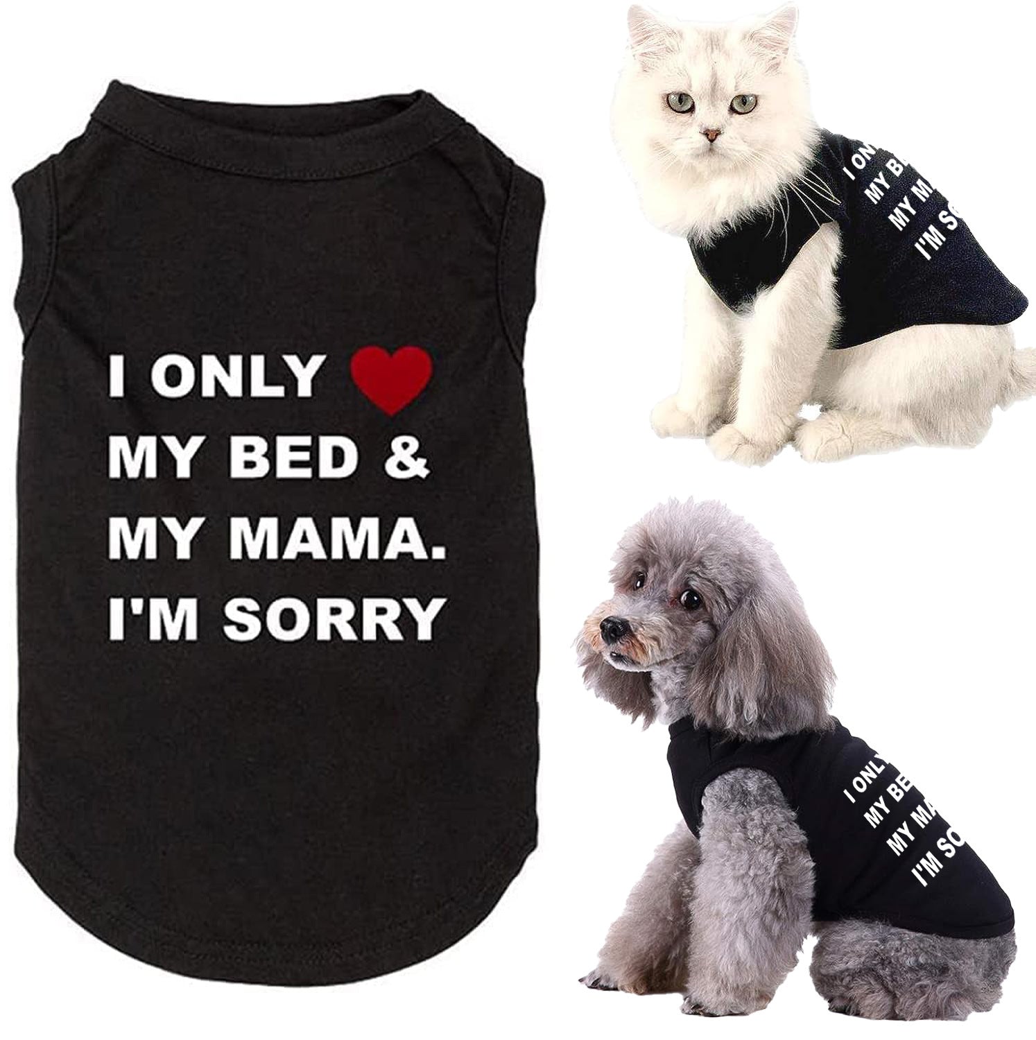 Funny Slogan Dog Vest