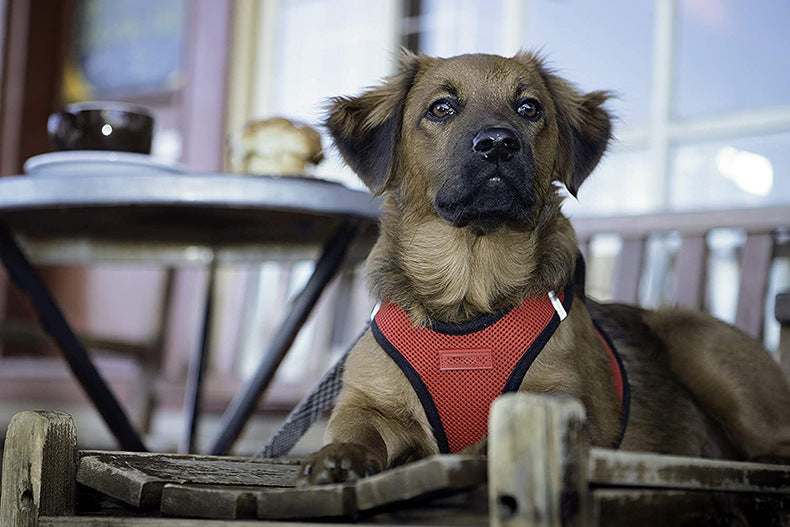 Reflective Dog Mesh Harness