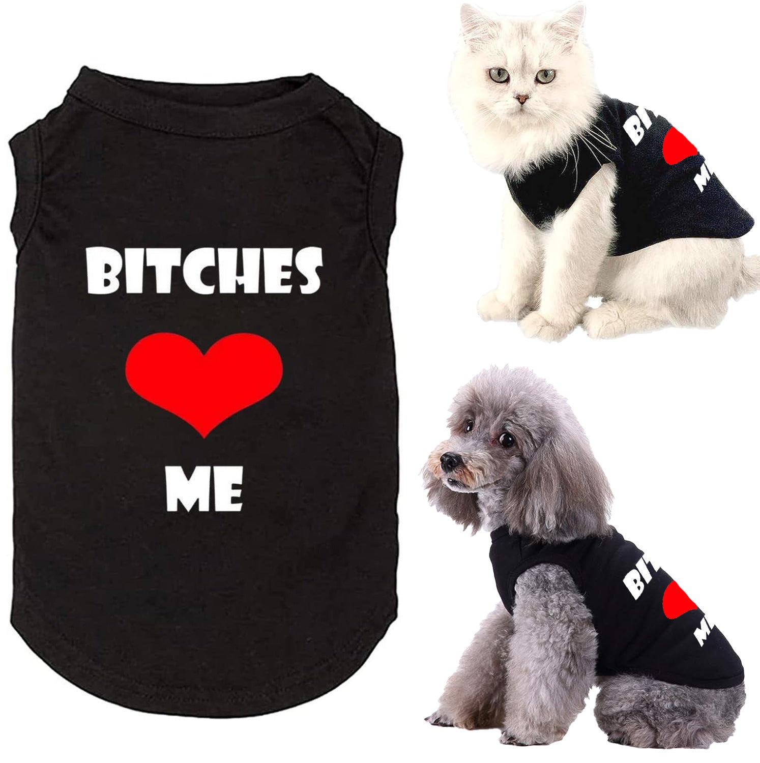 Funny Slogan Dog Vest