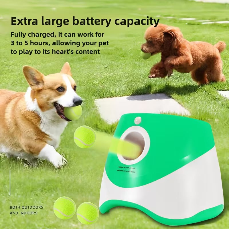 Automatic Dog Ball Launcher