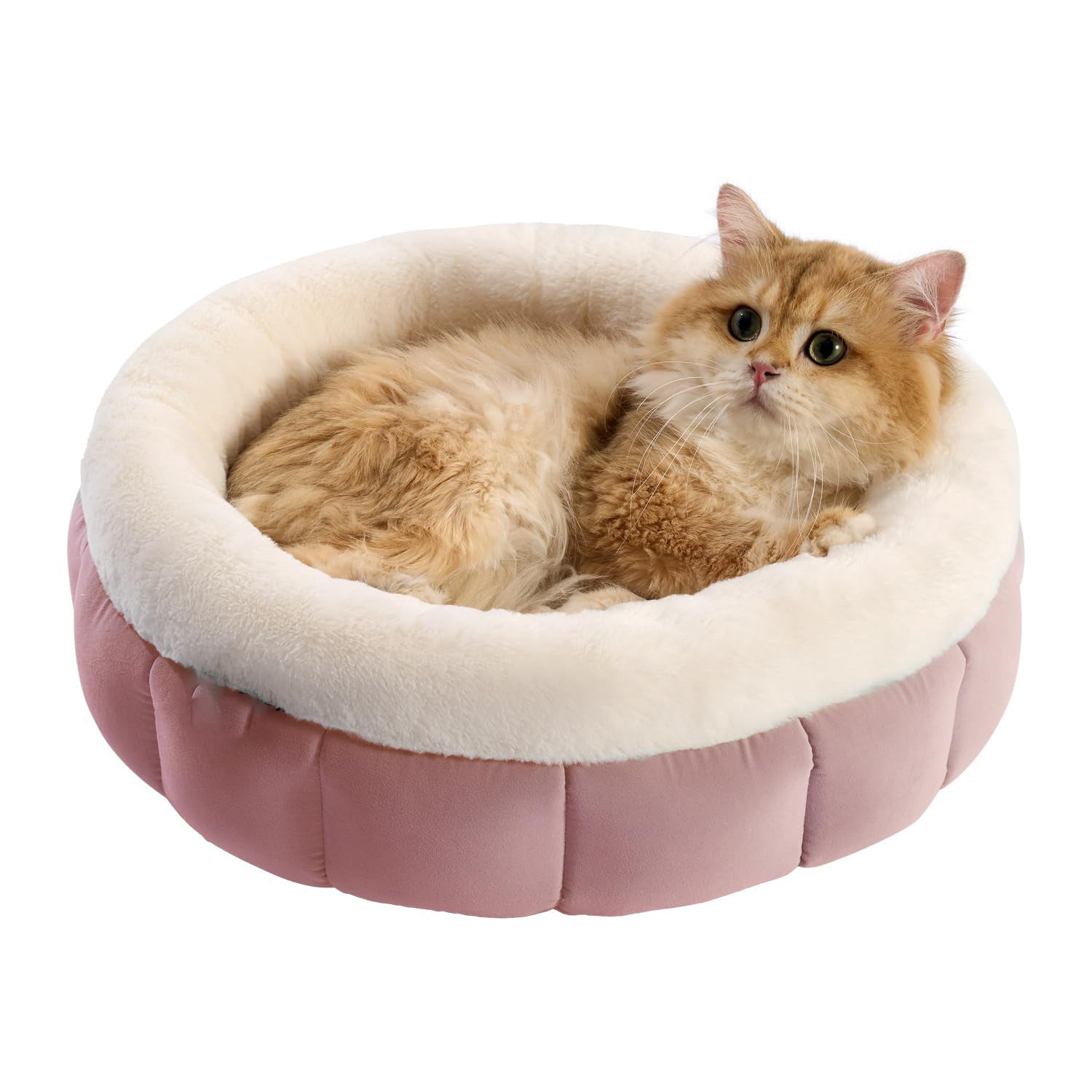 Plush Donut Pet Bed
