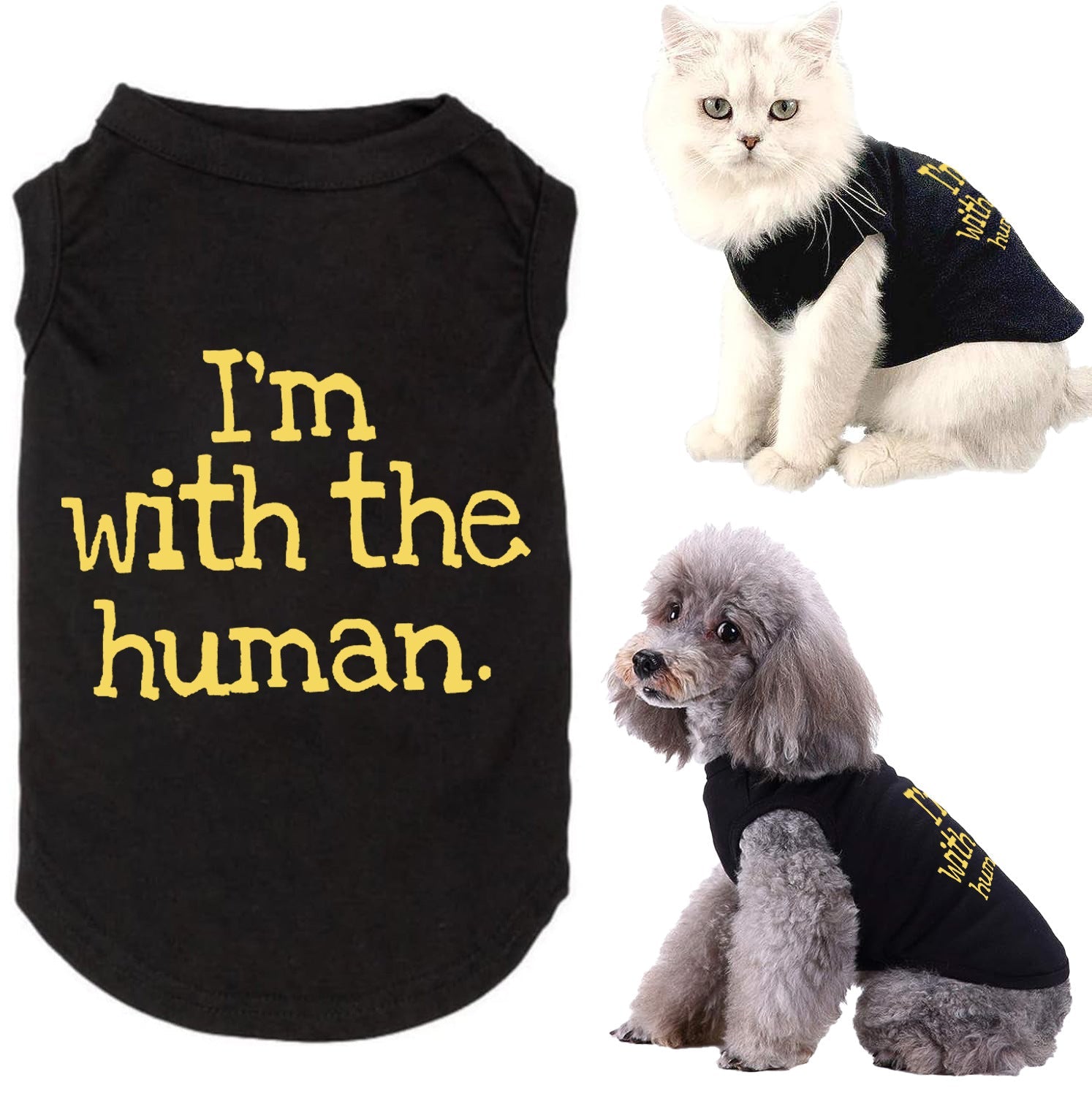 Funny Slogan Dog Vest