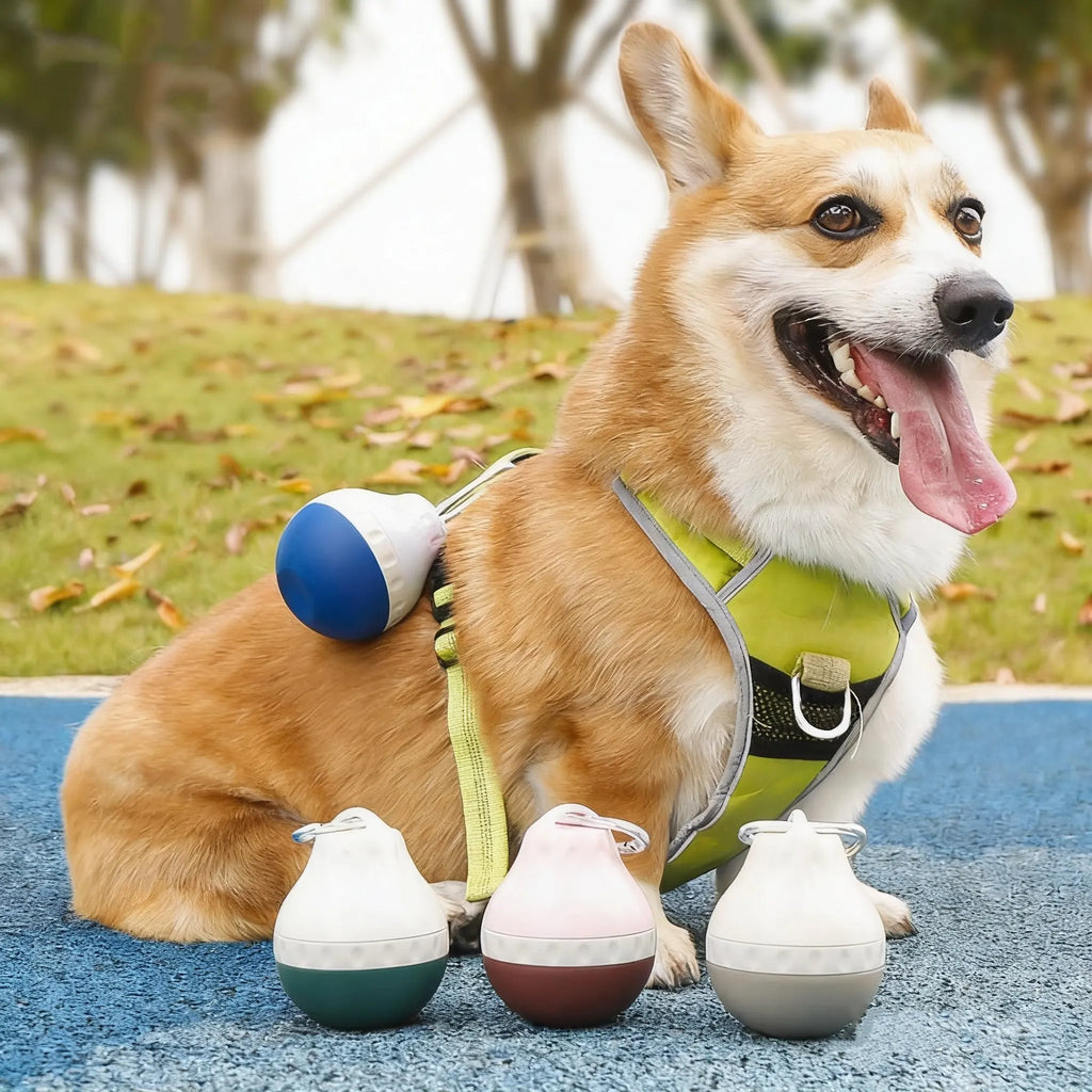 Pawfer™ Teardrop Dog Water Bottle