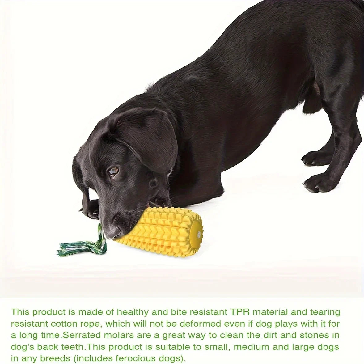 Corn Shaped Dog Chew Toy