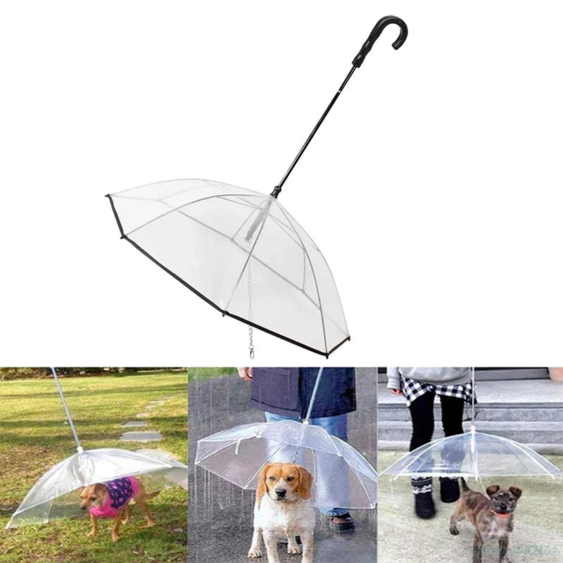 Dog Transparent Umbrella