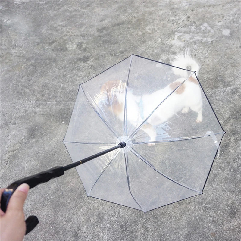 Dog Transparent Umbrella