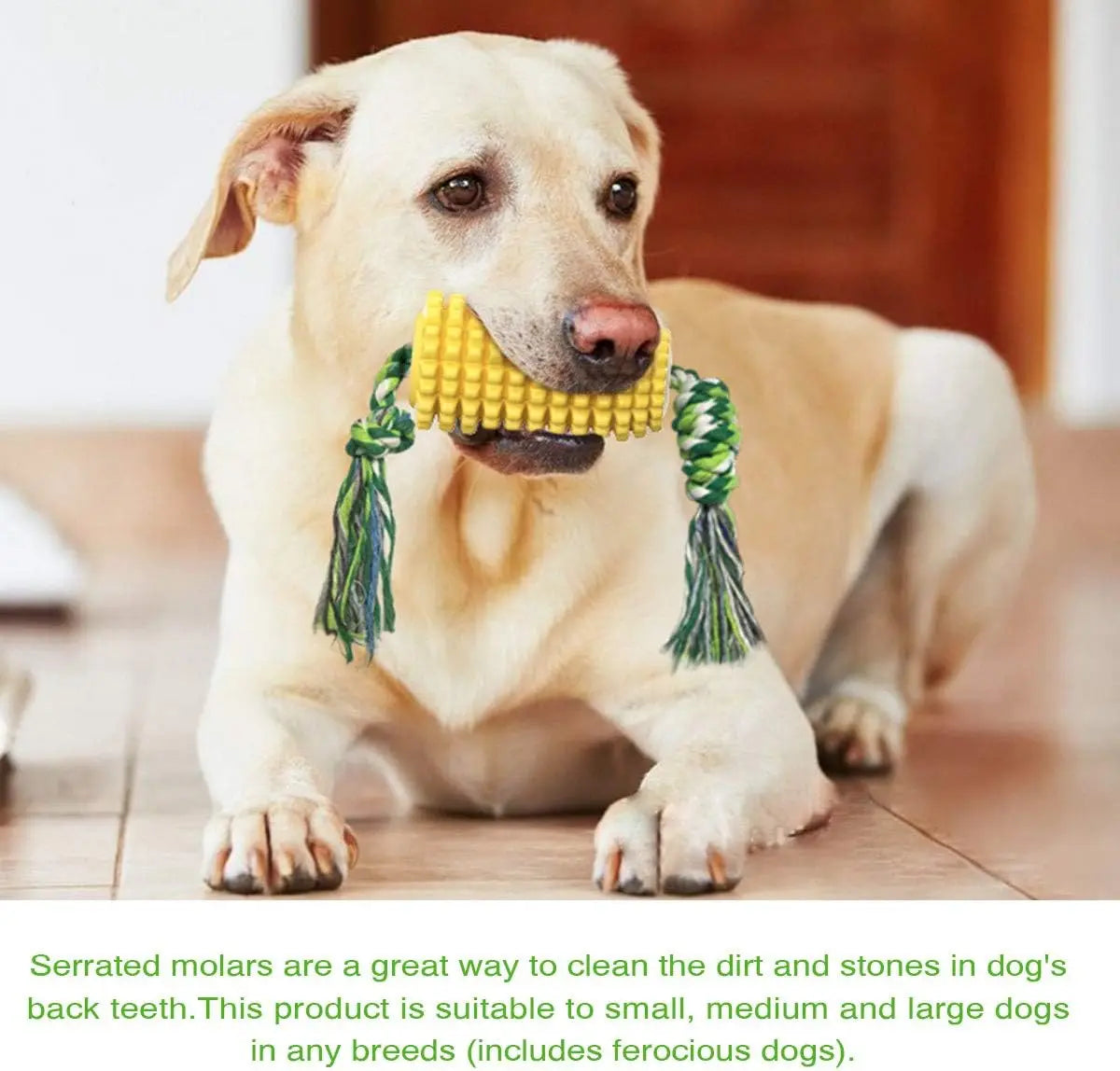 Corn Shaped Dog Chew Toy