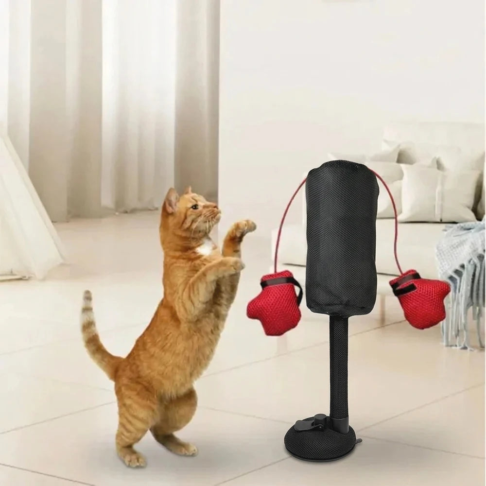 Pawfer™ PunchPaws Trainer
