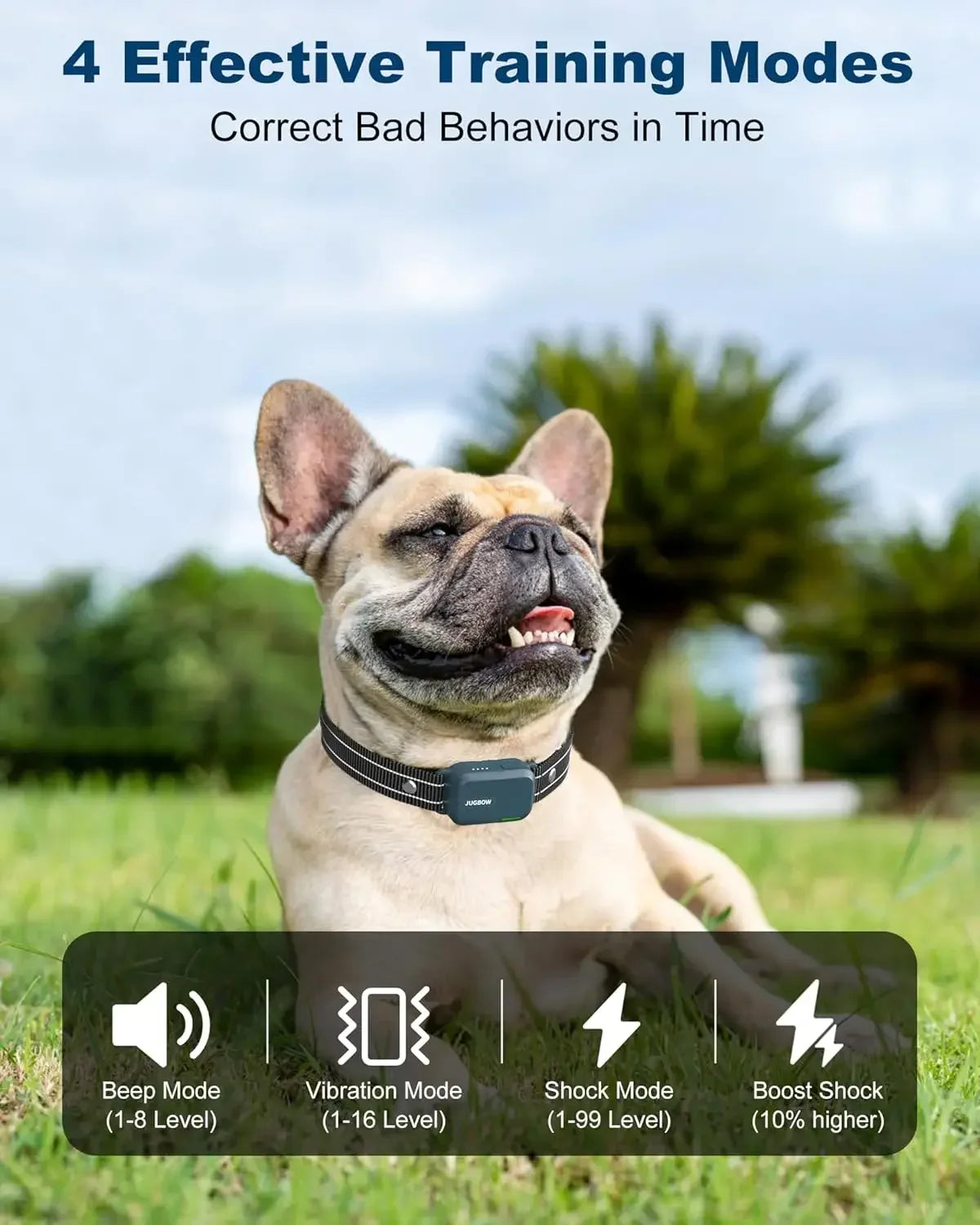 Dog Bark Control Device