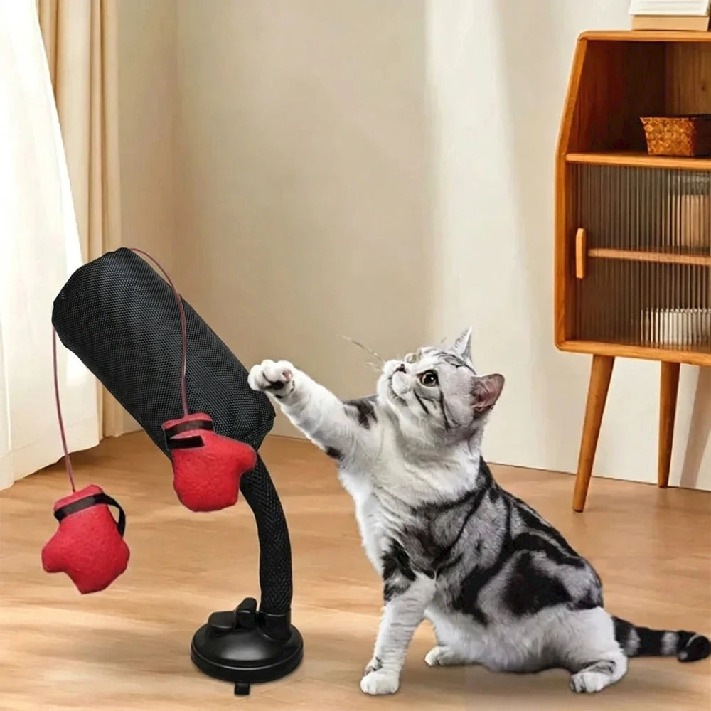 Pawfer™ PunchPaws Trainer