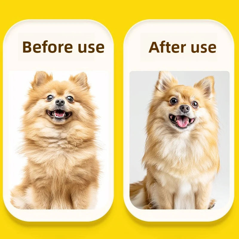 Pawfer™ Pet Drying & Grooming Brush