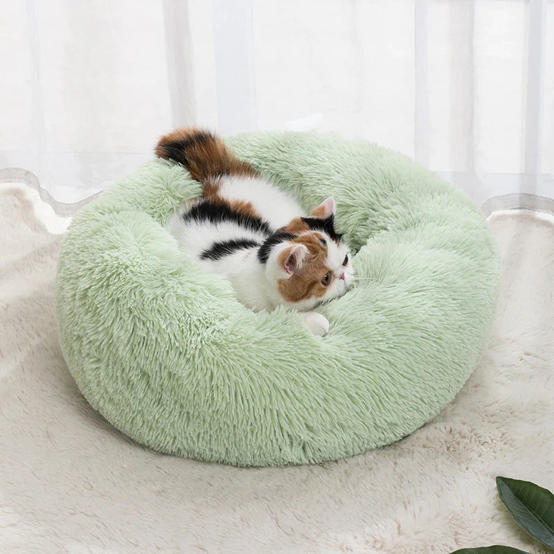Pet Donut Bed