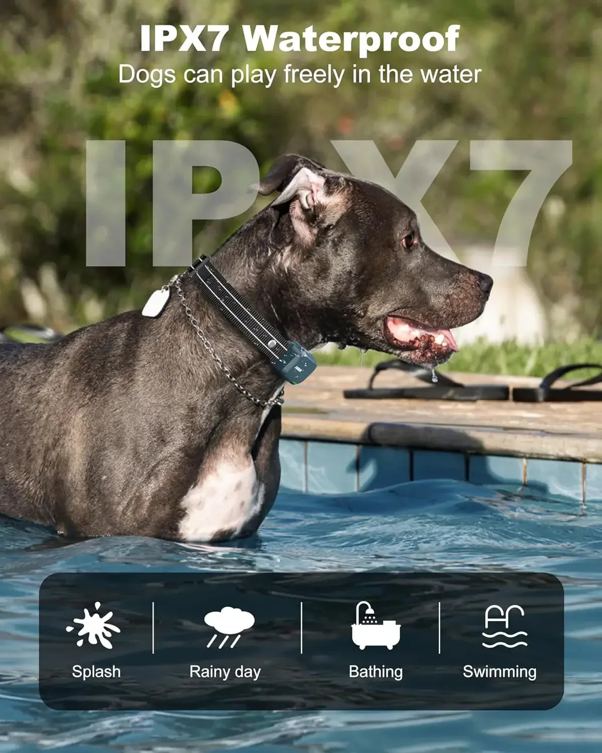Dog Bark Control Device