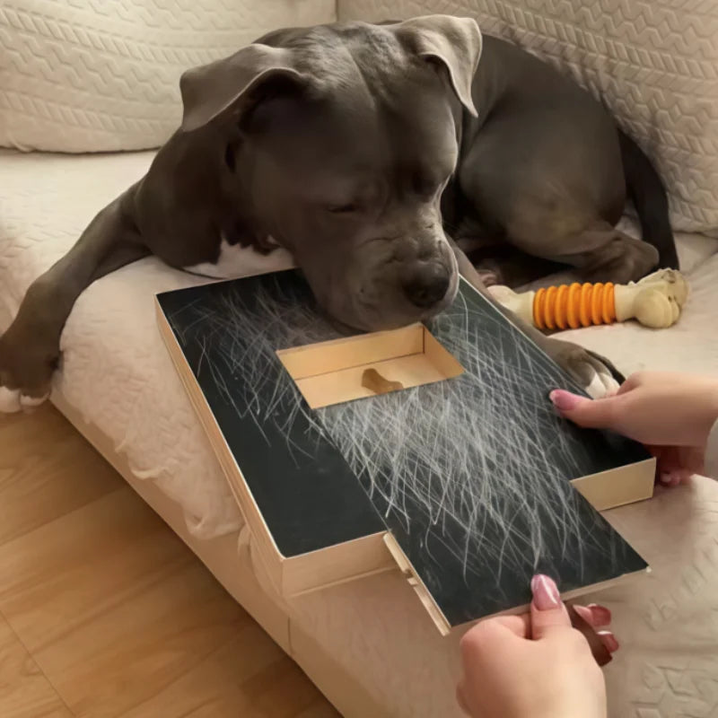 Pawfer™ Dog Nail Scratch Board