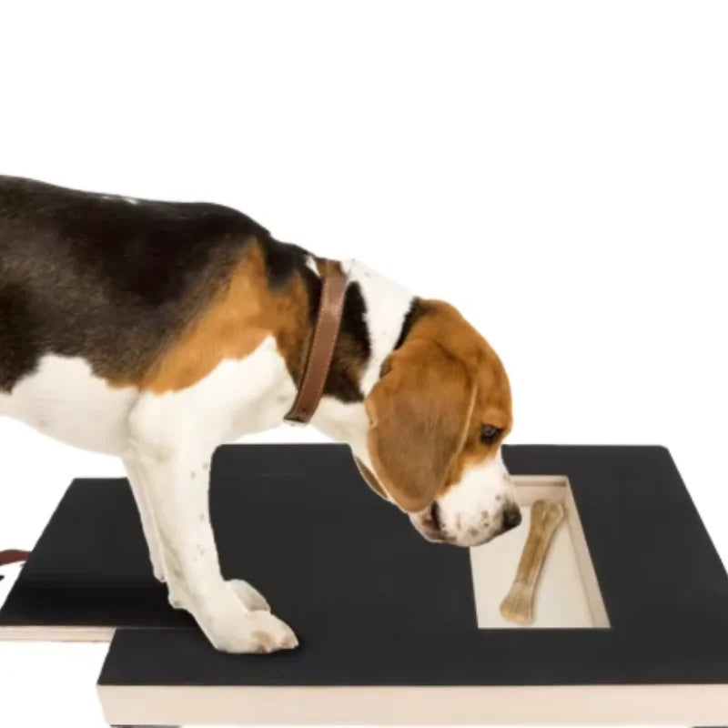 Pawfer™ Dog Nail Scratch Board