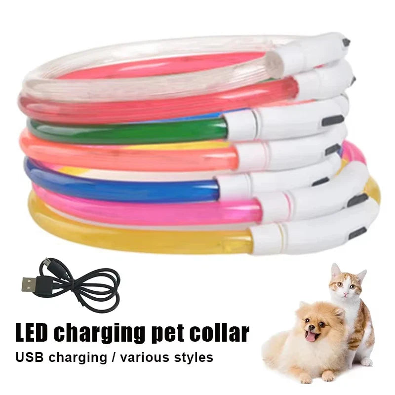 Rechargeable LED Dog Collar
