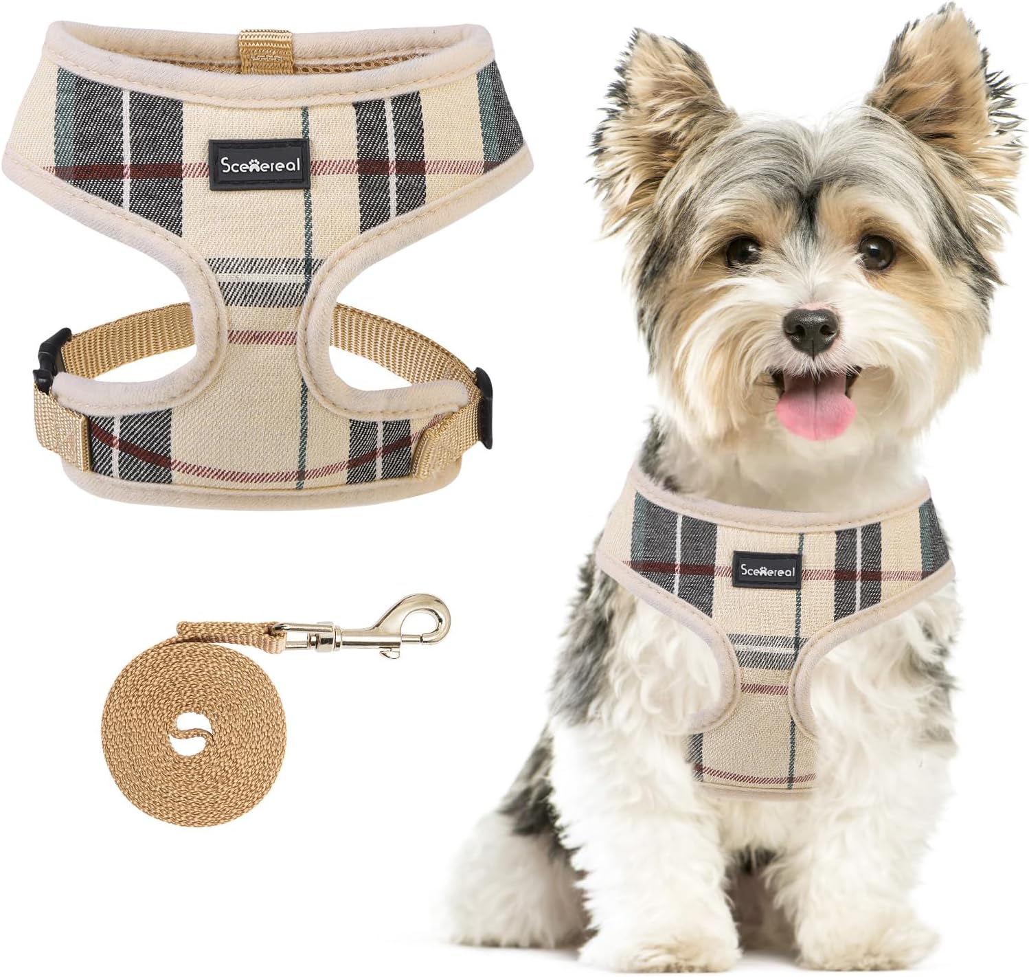 Dog Harness with Leash