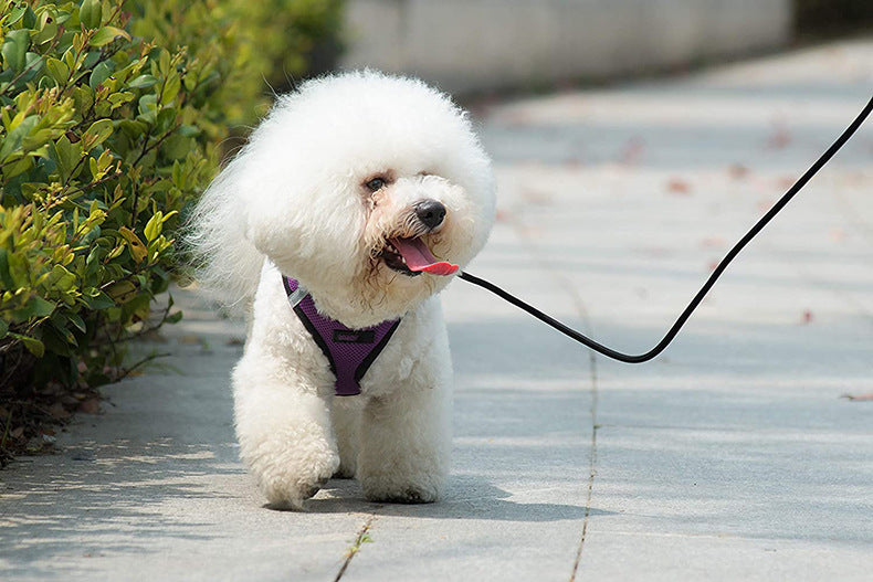 Reflective Dog Mesh Harness